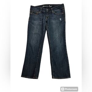 American eagle outfitters Artist crop pants size 6